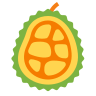 jackfruit Jackfruit