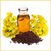 Mustard oil